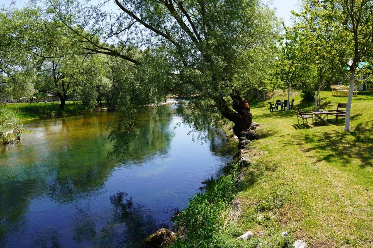 Apartments Manitovac M Niksic ภายนอก รูปภาพ